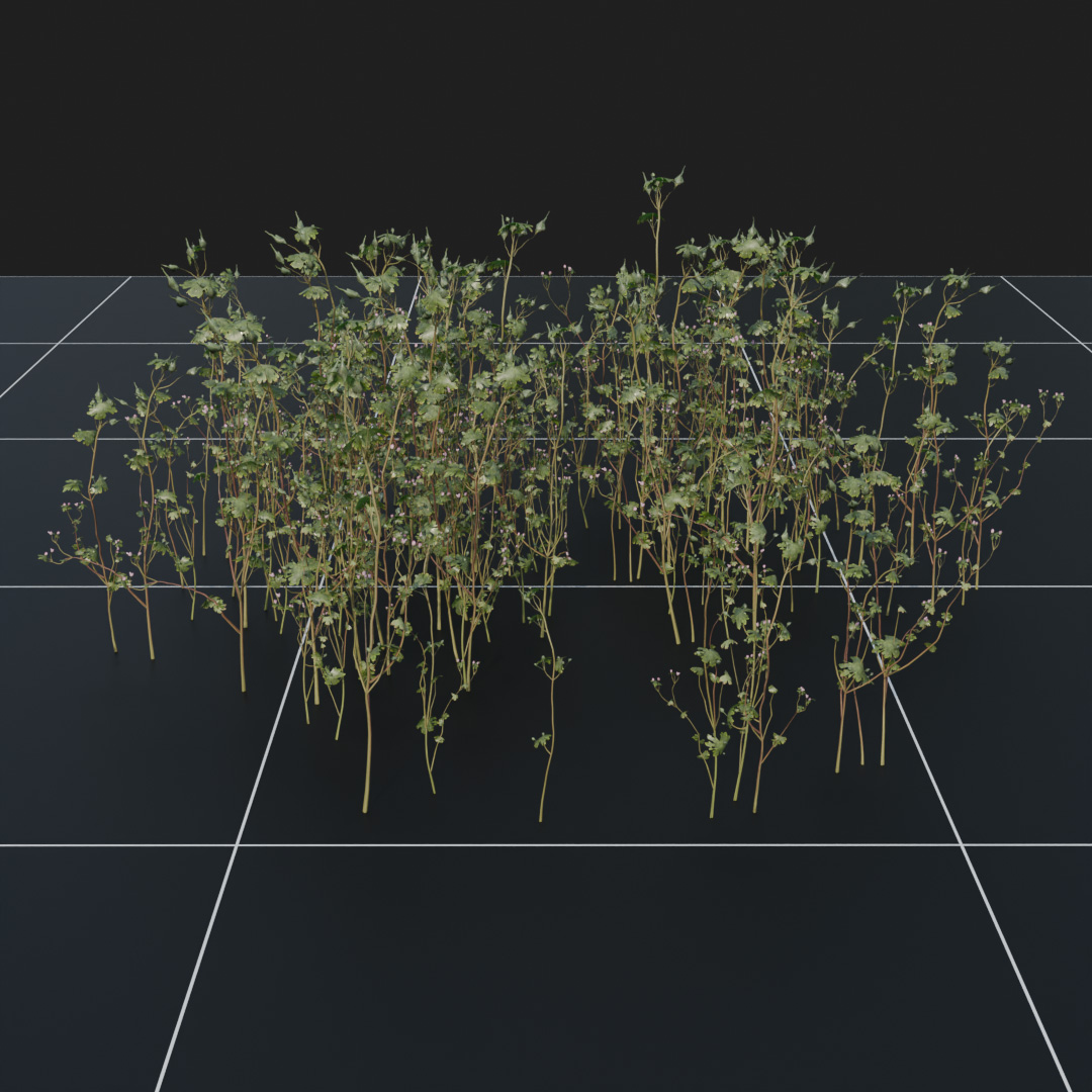 CraneBil_Green